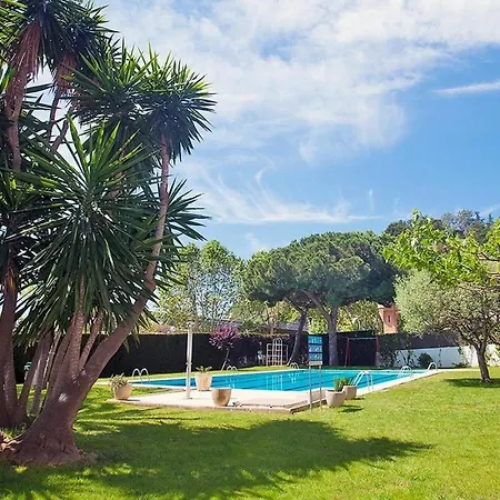 Ferienwohnung Fuer 6 Personen Ca 100 M In Calella, Katalonien Provinz Barcelona Apartment